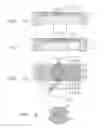 Fig. 03 - Cellulosic material, cellulosic member, and recorded material