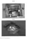 Fig. 05 - Security apparatus