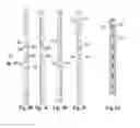 Fig. 04 - RAPID-ASSEMBLY BUILDING CONSTRUCTION SYSTEM