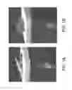 Fig. 02 - AEROGEL COMPOSITES AND METHODS FOR MAKING AND USING THEM