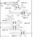 Fig. 08 - Coupler system for masonry reinforcement bars
