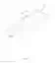 Fig. 09 - GUARD FOR SCAFFOLDING