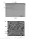 Fig. 05 - Ferrous disintegrable powder compact, method of making and article of same