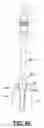 Fig. 45 - Rotating and reciprocating swivel apparatus and method