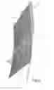 Fig. 03 - Leaf seal for sealing off a shaft rotating around an axis