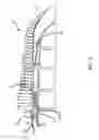 Fig. 05 - Gas turbine engine with axial compressor with internal cooling pathways