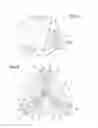 Fig. 13 - Closed-cycle plant