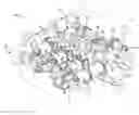 Fig. 01 - CYLINDER ARRANGEMENT FOR OPPOSED PISTON TWO-STROKE ENGINE