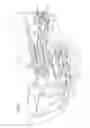 Fig. 05 - GAS TURBINE ENGINE WITH SUPERSONIC COMPRESSOR