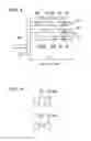 Fig. 06 - Combustor and gas turbine with phase adjusting units in the fuel nozzles