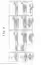 Fig. 07 - Electronic control unit of internal combustion engine and method thereof