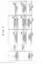 Fig. 08 - Electronic control unit of internal combustion engine and method thereof