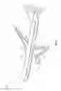 Fig. 02 - Thrust reverser actuator systems