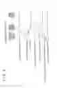 Fig. 06 - Fuel property determination apparatus for internal combustion engine