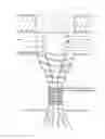 Fig. 01 - CORE REACTOR AND SYSTEM