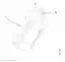 Fig. 11 - LIQUID DISPENSING DEVICES AND METHODS OF CONTROLLING THE SAME