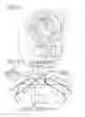Fig. 02 - OIL PUMP
