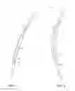 Fig. 07 - AIRFOIL STRUCTURES