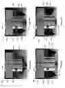 Fig. 09 - A LOCK FOR A TELESCOPIC SUPPORT ELEMENT