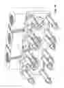 Fig. 09 - PACKING NUT LOCK AND METHOD OF USE