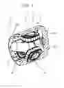 Fig. 02 - TRIPOD CONSTANT VELOCITY JOINT