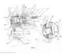 Fig. 04 - Eccentric Drive