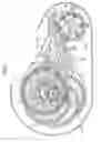 Fig. 06 - VEHICULAR POWER TRANSMISSION DEVICE