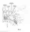 Fig. 06 - Split gear assembly with one-way roller clutch for controlling backlash in opposed-piston engines