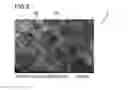 Fig. 05 - Heat releasing pipe