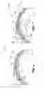 Fig. 04 - Ring couplings