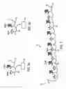 Fig. 04 - Divali string of light Om and deya arrangement