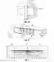 Fig. 04 - Dual beam pattern vehicular lighting assembly