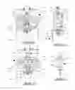 Fig. 13 - Devices and systems for improved traffic control signal assembly