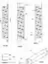 Fig. 16 - Elongated L.E.D. lighting systems, manufacturing and methods to configure the same