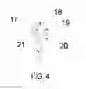 Fig. 05 - Heat dissipation systems with hygroscopic working fluid