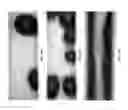 Fig. 11 - Enhanced flow boiling heat transfer in microchannels with structured surfaces