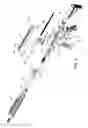Fig. 04 - Semiautomatic firearm