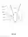 Fig. 14 - Tactical load-bearing vest