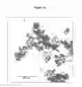 Fig. 13 - CRYSTALLINE EXPLOSIVE MATERIAL
