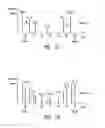 Fig. 06 - Method for processing signals originating from one or more sensors, in particular proximity sensors, for the recognition of a movement of an object and corresponding device