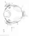Fig. 09 - Direction detector