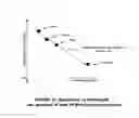 Fig. 10 - Detection of particle characteristics