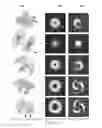 Fig. 14 - System and method using OAM spectroscopy leveraging fractional orbital angular momentum as signature to detect materials