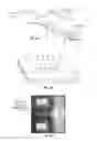 Fig. 04 - Device and methods of detection of airborne agents