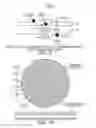 Fig. 07 - Method and apparatus to optically detect defects in transparent solids