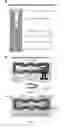 Fig. 03 - Paper-Based Reference Electrode And Potentiometric Ion Sensing