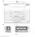 Fig. 10 - Paper-Based Reference Electrode And Potentiometric Ion Sensing