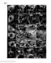 Fig. 02 - Systems and methods for detection of cellular stress