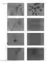 Fig. 12 - Immunovir and Components, Immunovir A, B, C, D Utility and Useful Processes