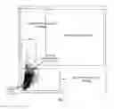 Fig. 03 - Biological specimen evaluation methods using cytology and immunology